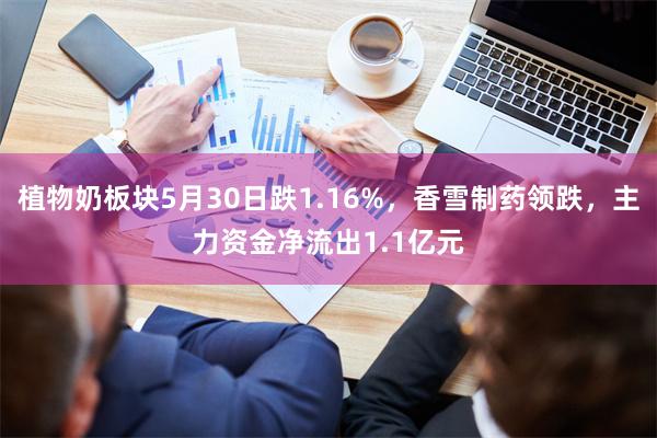 植物奶板块5月30日跌1.16%，香雪制药领跌，主力资金净流出1.1亿元