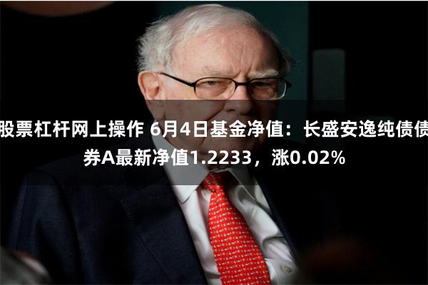 股票杠杆网上操作 6月4日基金净值：长盛安逸纯债债券A最新净值1.2233，涨0.02%