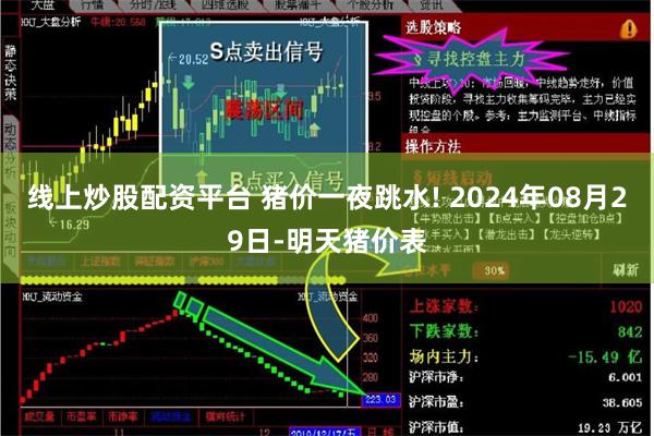 线上炒股配资平台 猪价一夜跳水! 2024年08月29日-明天猪价表