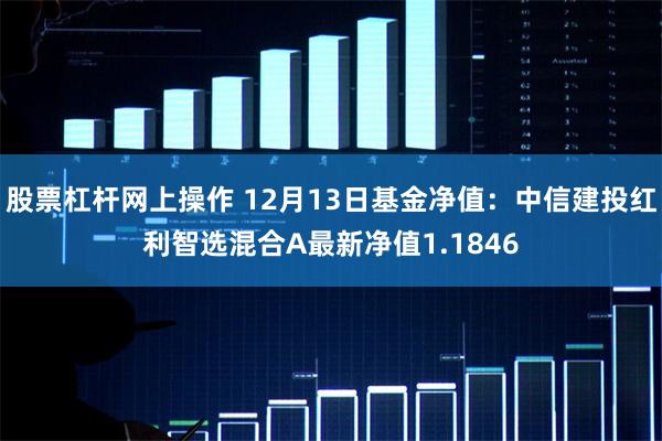 股票杠杆网上操作 12月13日基金净值：中信建投红利智选混合A最新净值1.1846