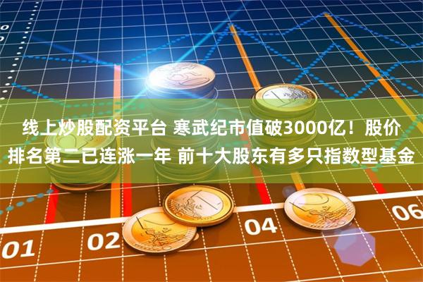 线上炒股配资平台 寒武纪市值破3000亿！股价排名第二已连涨一年 前十大股东有多只指数型基金