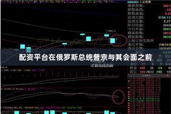 配资平台在俄罗斯总统普京与其会面之前