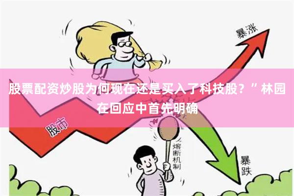 股票配资炒股为何现在还是买入了科技股?”林园在回应中首先明确